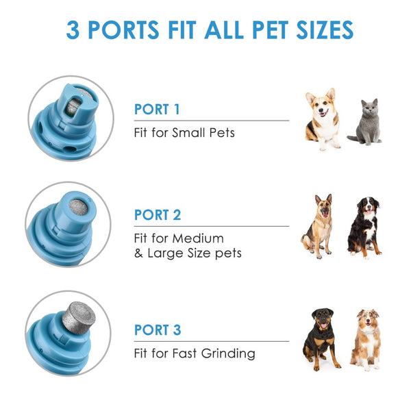 DIY Home Grooming Pet Nail Grinder Home Kit